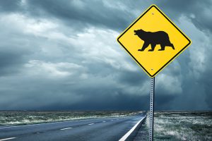 stormy, isolated road paired with a yellow sign with a bear on it