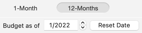 12-Month Budget User Interface
