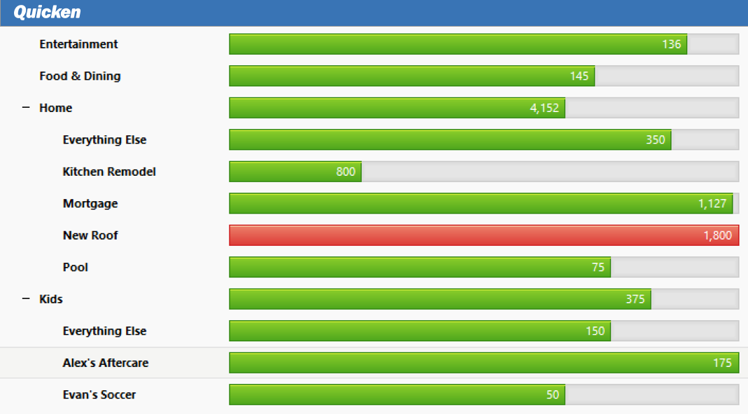 Quicken Custom Report