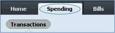 Spending tab