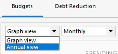 Budgets Annual View Option User Interface