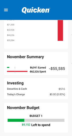 Overview - Income and expenses for the month