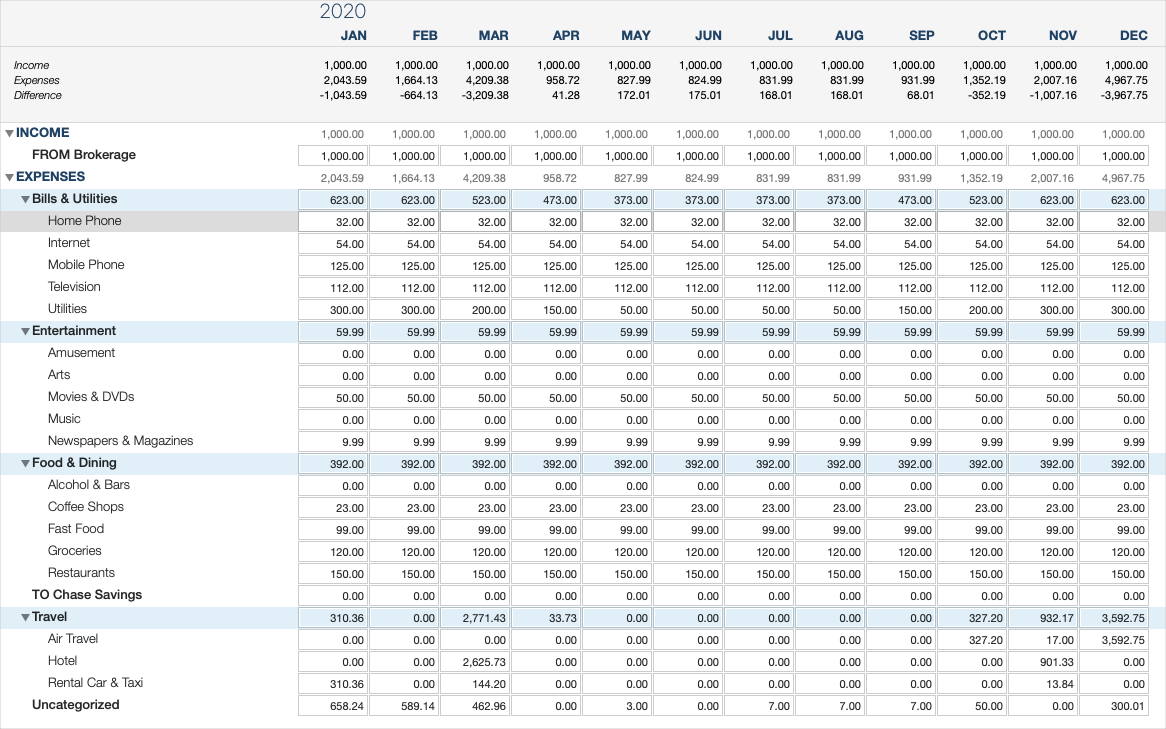 2020 calendar of income and expenses organized by month and category