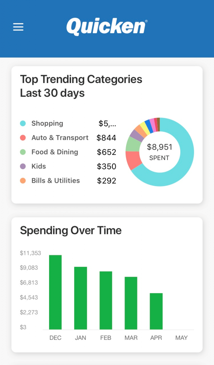 Quicken mobile user interface