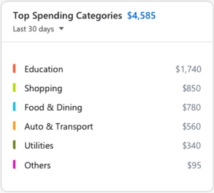 Top spending categories