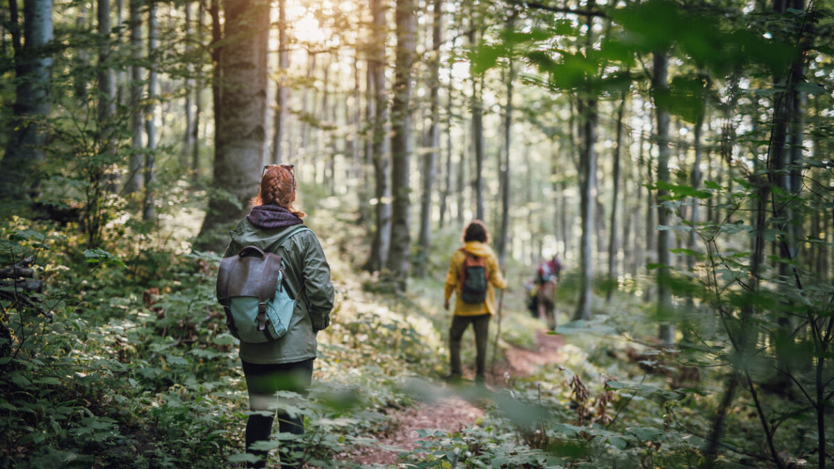 Young couple on hiking in the forest