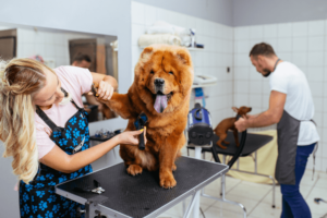 Grooming salon for pets.