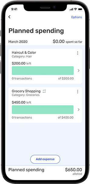 Planned spending view on a mobile device