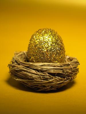 Golden Nest egg