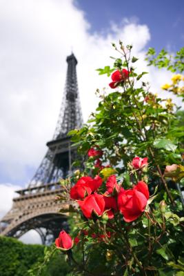 financial planning tips all travelers should consider quicken