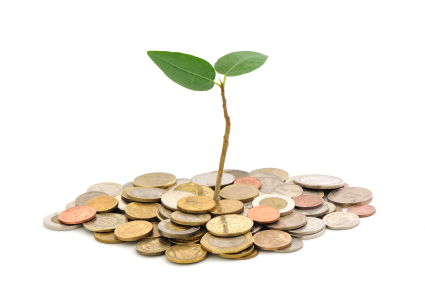 money_tree money tree